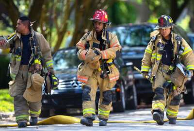 firefighters