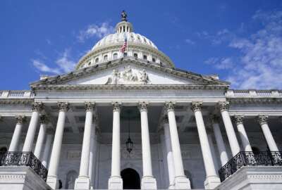 government