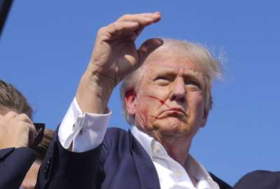 Election 2024 Trump
